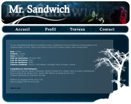 Mr. Sandwich